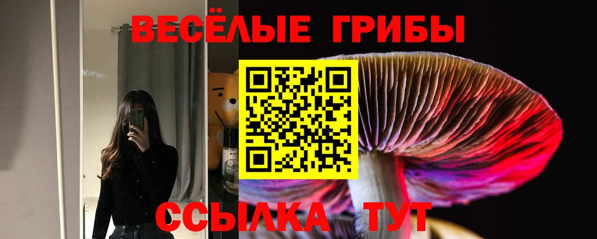 Галлюциногенные грибы Psilocybine cubensis  Вход с VPN  Кольчугино 