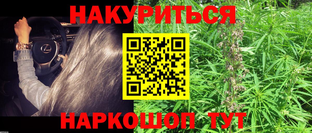 Кольчугино  Каннабис конопля  Канабис VHQ  Вход с VPN  Конопля AK-47  МАРИХУАНА планчик 